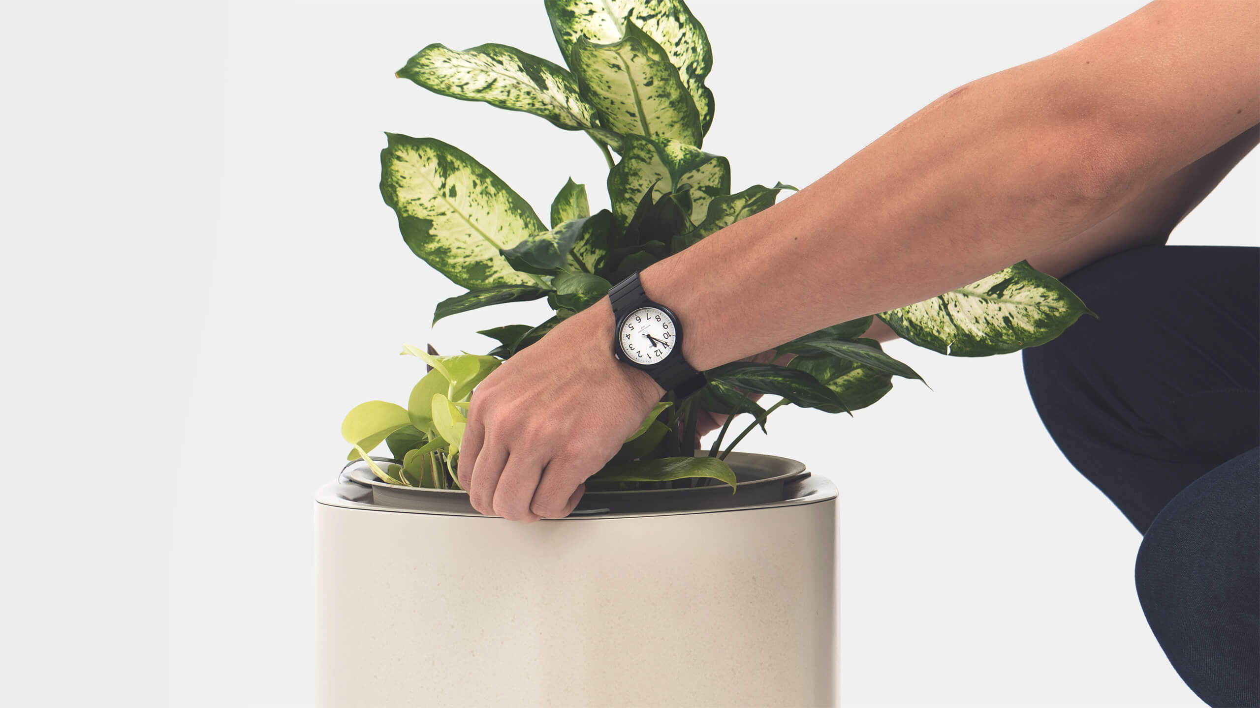 Thumbnail of Self   Watering   Planters