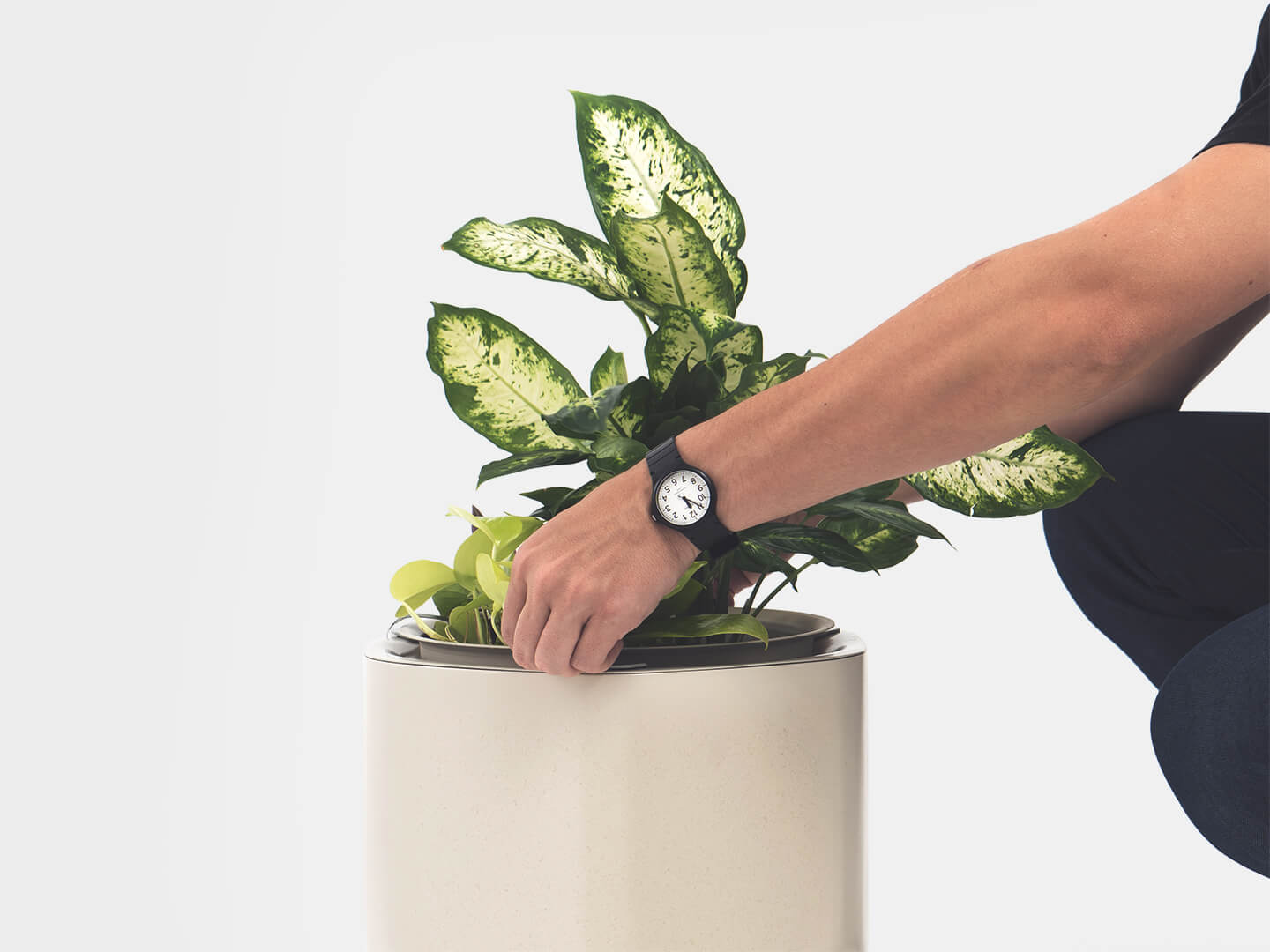 Thumbnail of Self   Watering   Planters